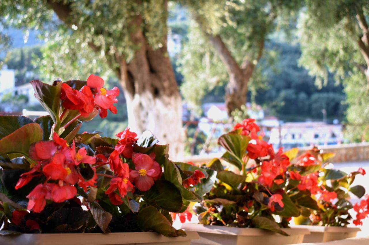 Gallery Suites Parga Esterno foto